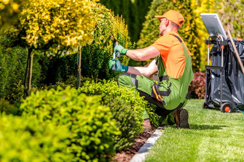 Jardinería Profesional y Paisajismo en Lima